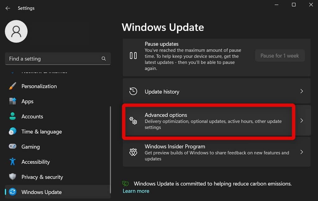 advanced options windows update
